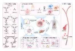 重磅！刘刚教授团队在Nature Communications发表肝胆疾病诊疗新策略